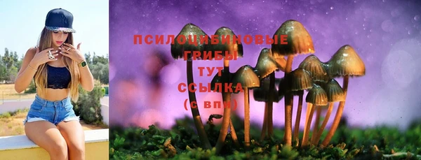 кристаллы Лагань