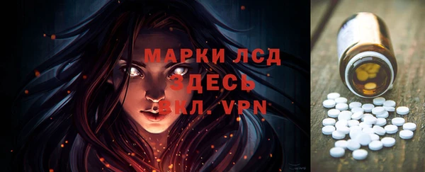гашик Ладушкин