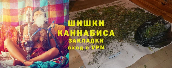 гашик Ладушкин
