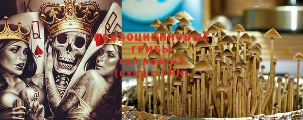 гашик Ладушкин