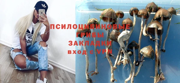 гашик Ладушкин