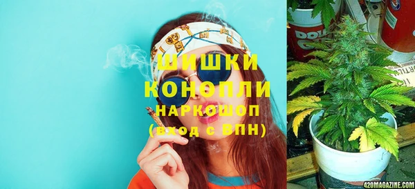 гашик Ладушкин