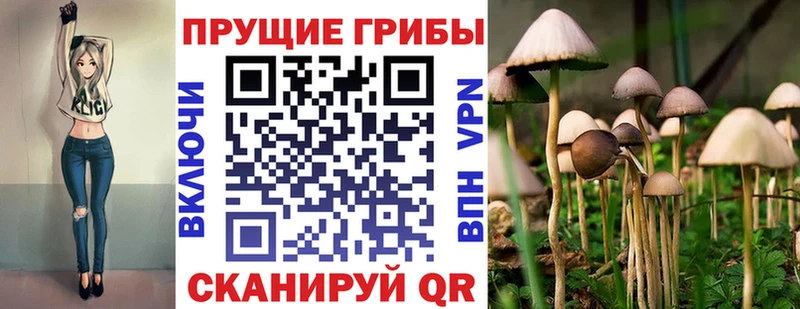 Псилоцибиновые грибы ЛСД  Купить закладки  Шенкурск 