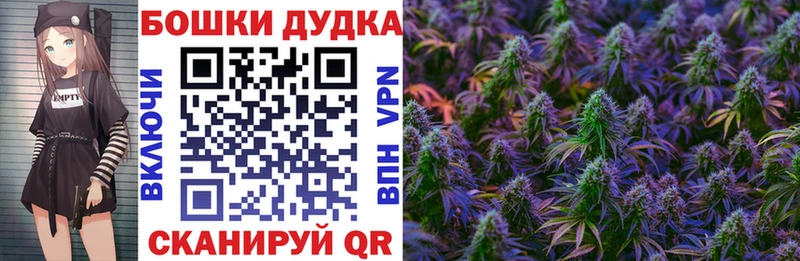 Купить закладки  Шенкурск  МАРИХУАНА SATIVA & INDICA 